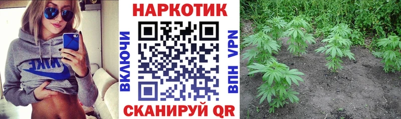 Купить наркотики цена Власиха Cocaine  Меф  Гашиш  blacksprut tor  Каннабис 