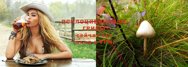 индика Осташков