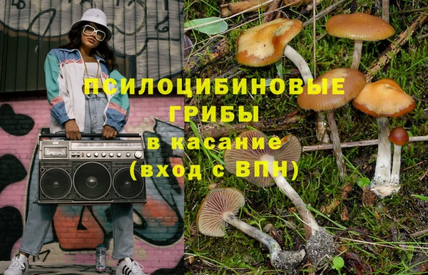 мдпв Беломорск