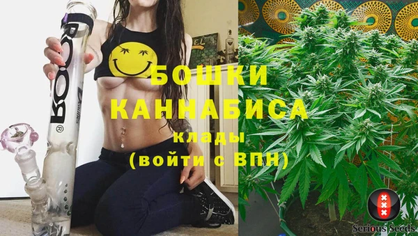 крисы Балахна