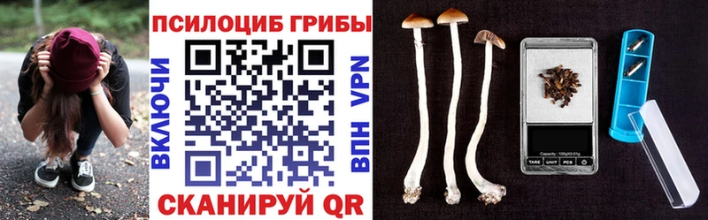 где купить наркотик  Власиха  Псилоцибиновые грибы GOLDEN TEACHER 